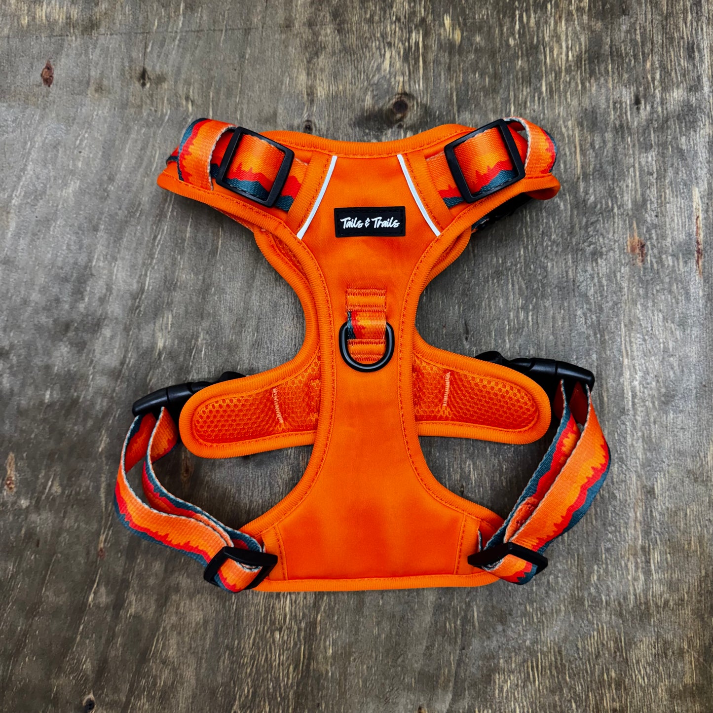 Sahara Adventure Harness