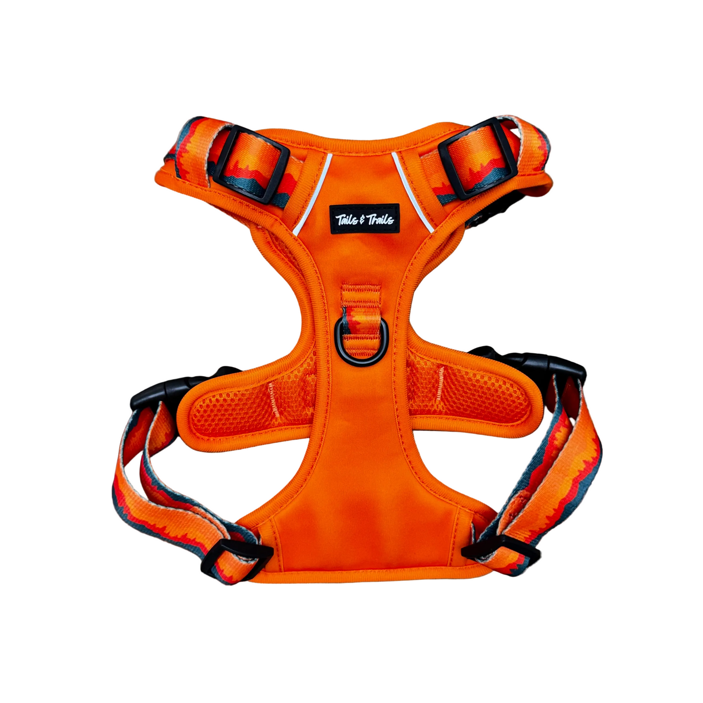 Sahara Adventure Harness
