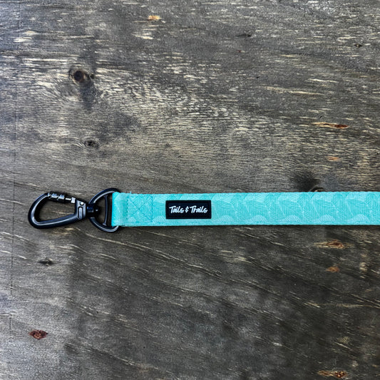 Double Handle Island Trail Leash