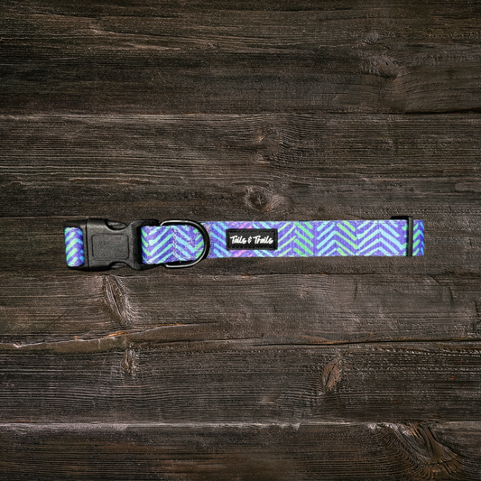 New Moon Trail Collar