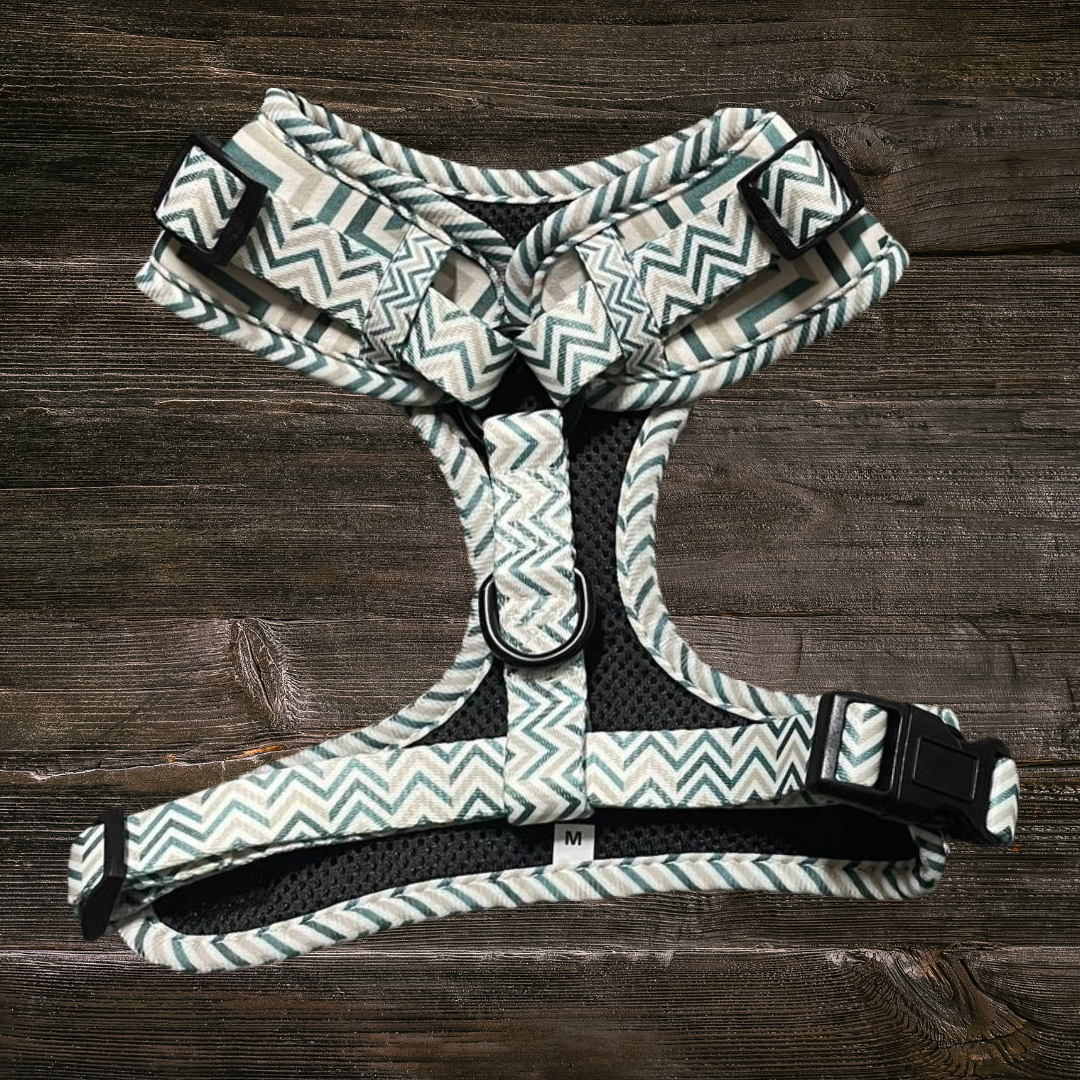 Mountain Ridge Harness