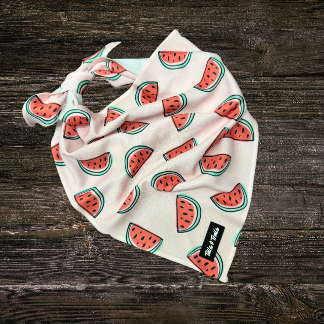 PRE-ORDER Melon Bandana