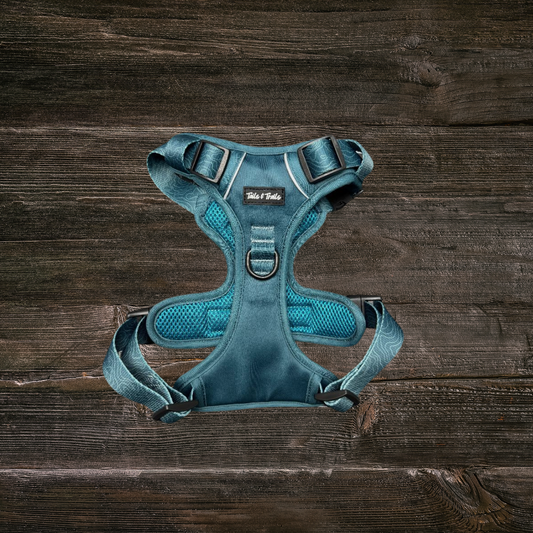 Evergreen Adventure Harness