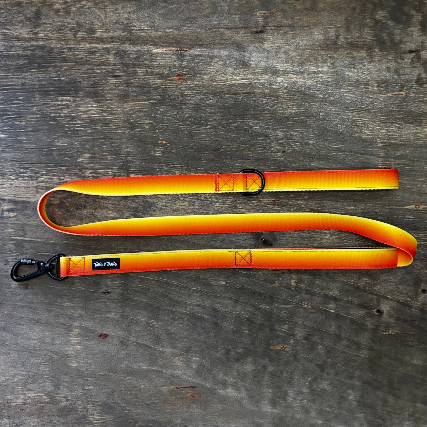 Double Handle Sunset Trail Leash