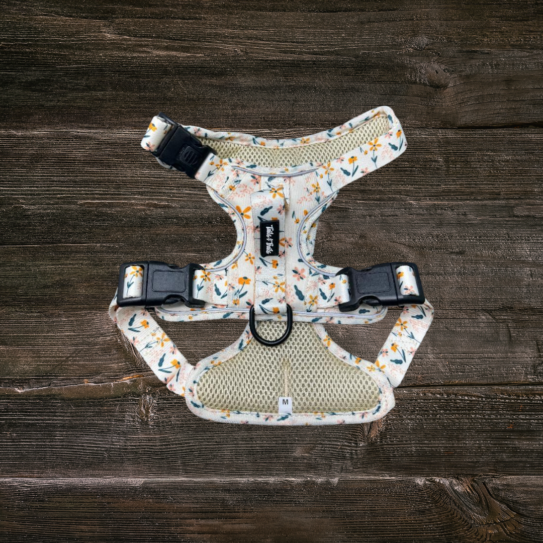 Wildflower Adventure Harness