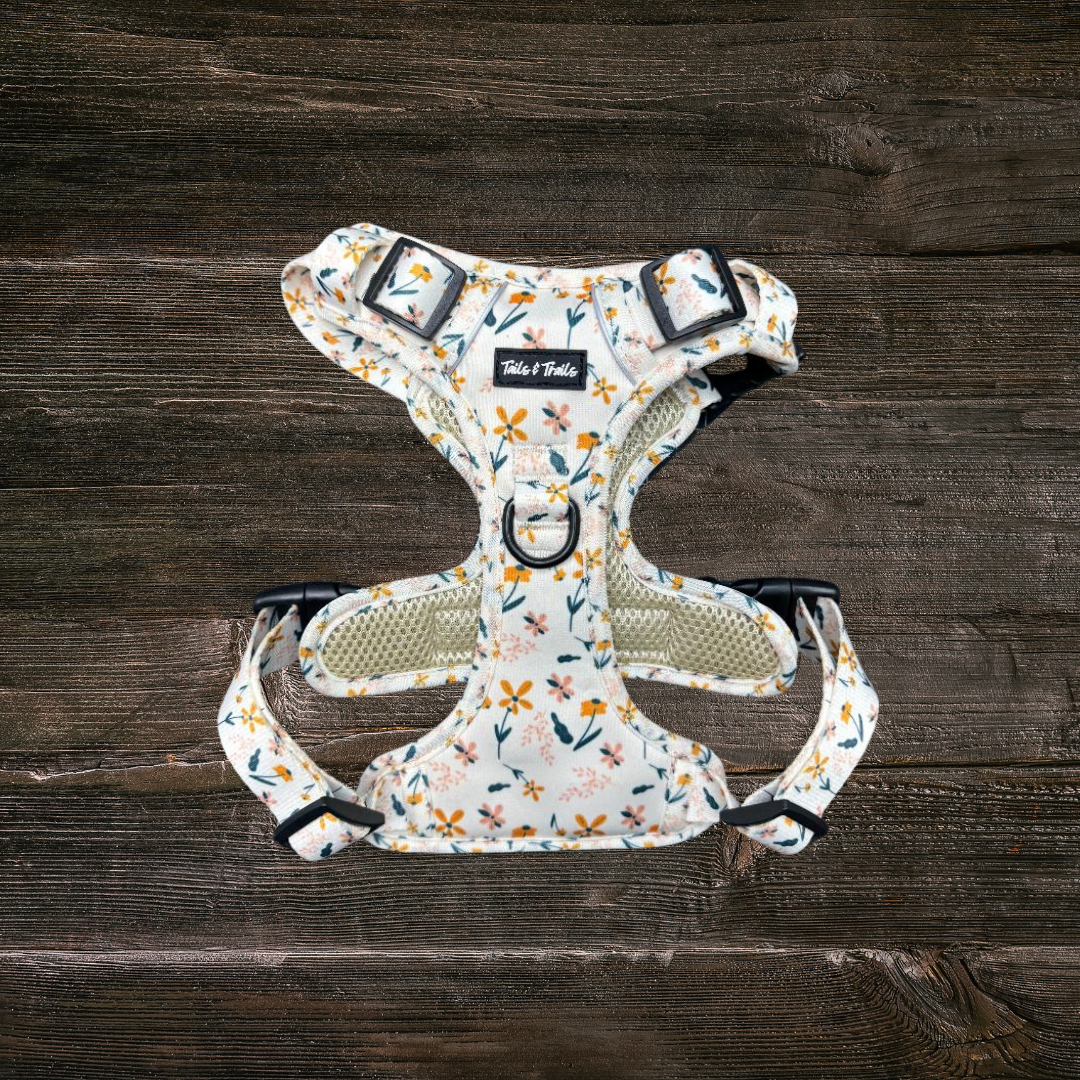 Wildflower Adventure Harness
