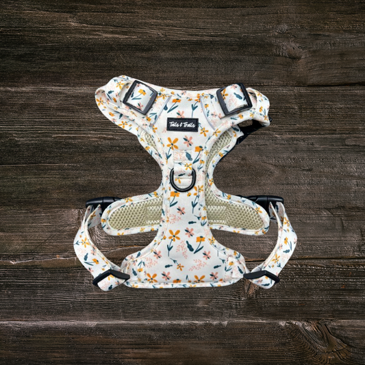 Wildflower Adventure Harness