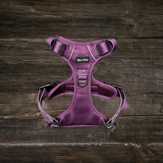 Elderberry Adventure Harness