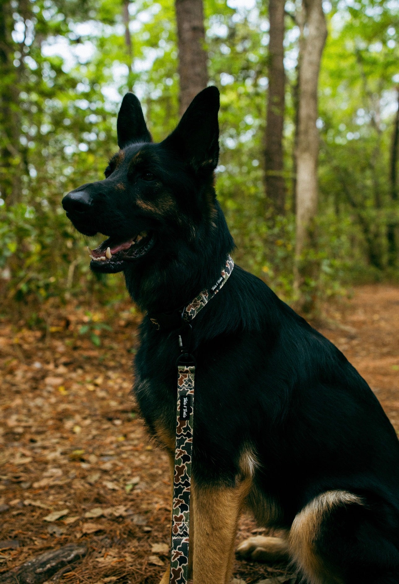 Duck Camo Trail Collar
