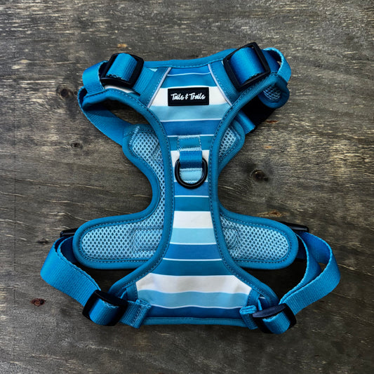 Tide Break Adventure Harness