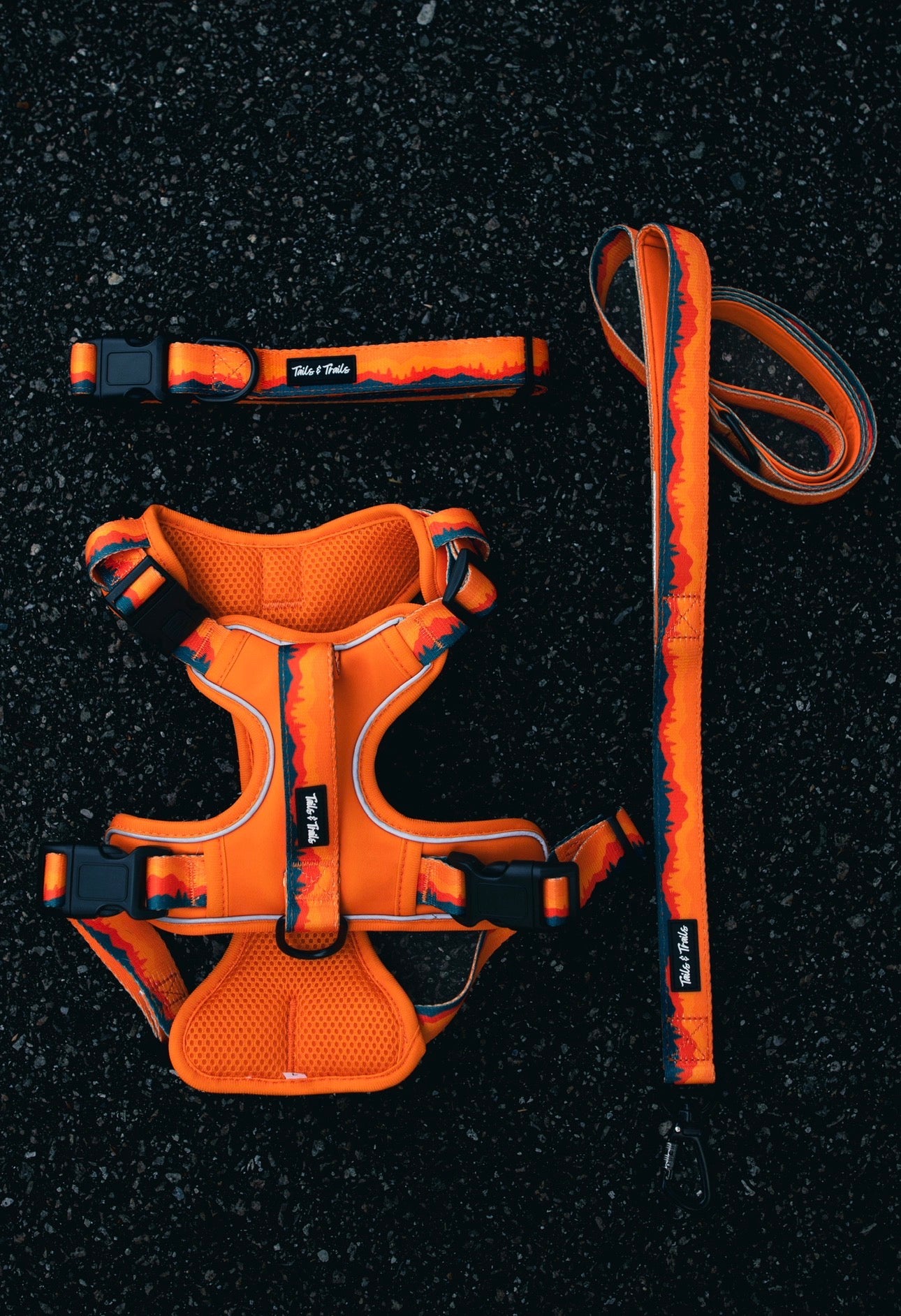Sahara Adventure Harness