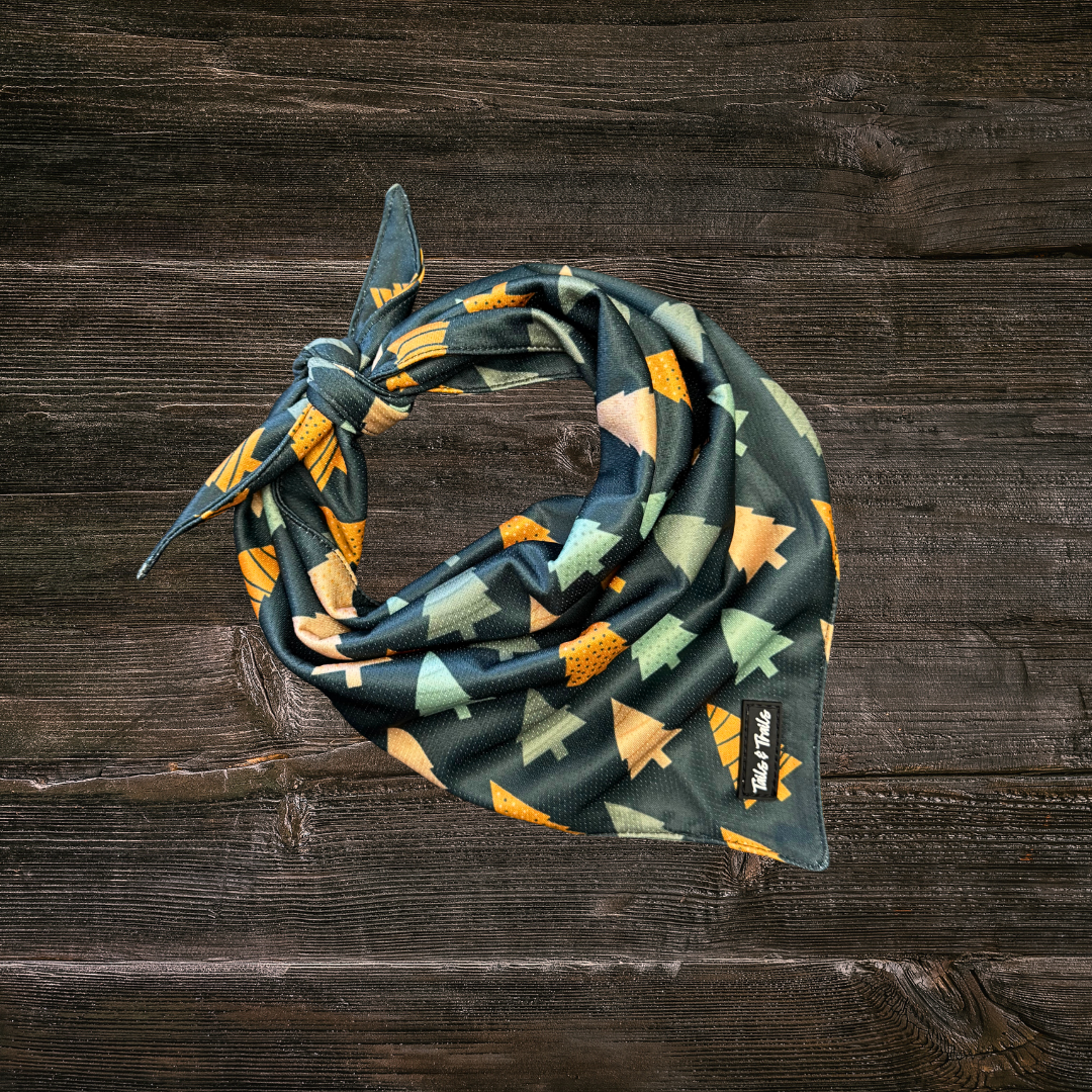 Balsam Fir Bandana