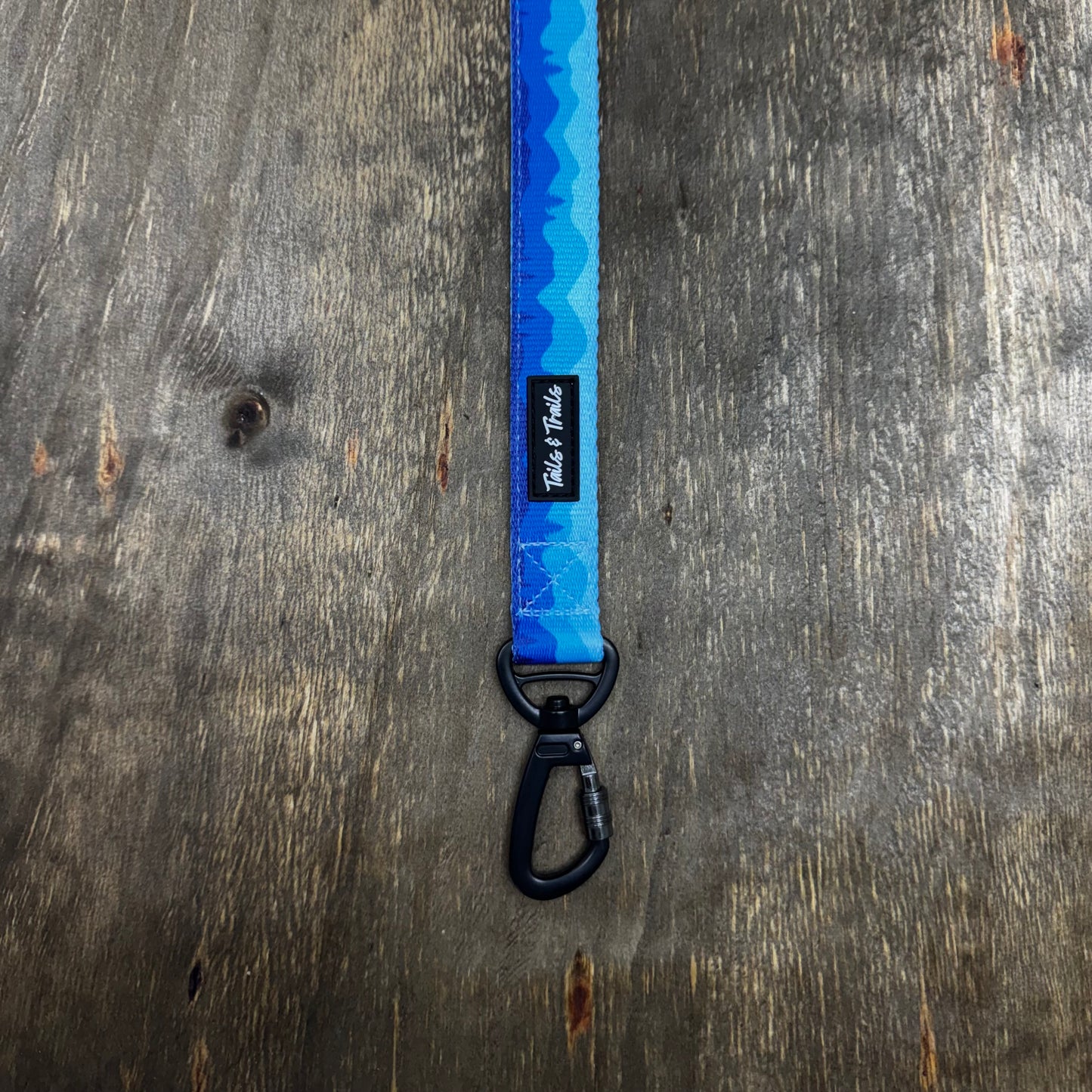 Double Handle Glacier Trail Leash