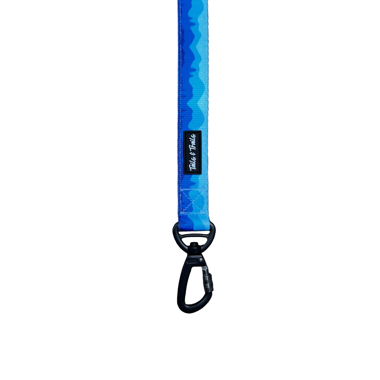 Double Handle Glacier Trail Leash