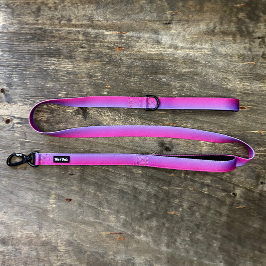 Double Handle Sunrise Trail Leash