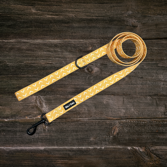 Arrowhead Trail Leash