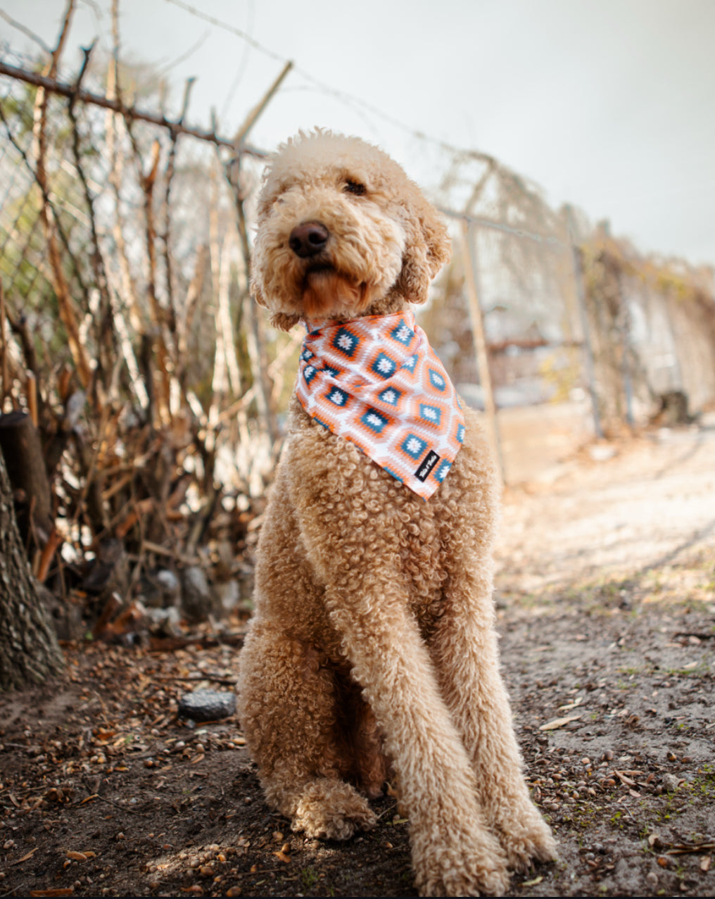 Campfire Bandana