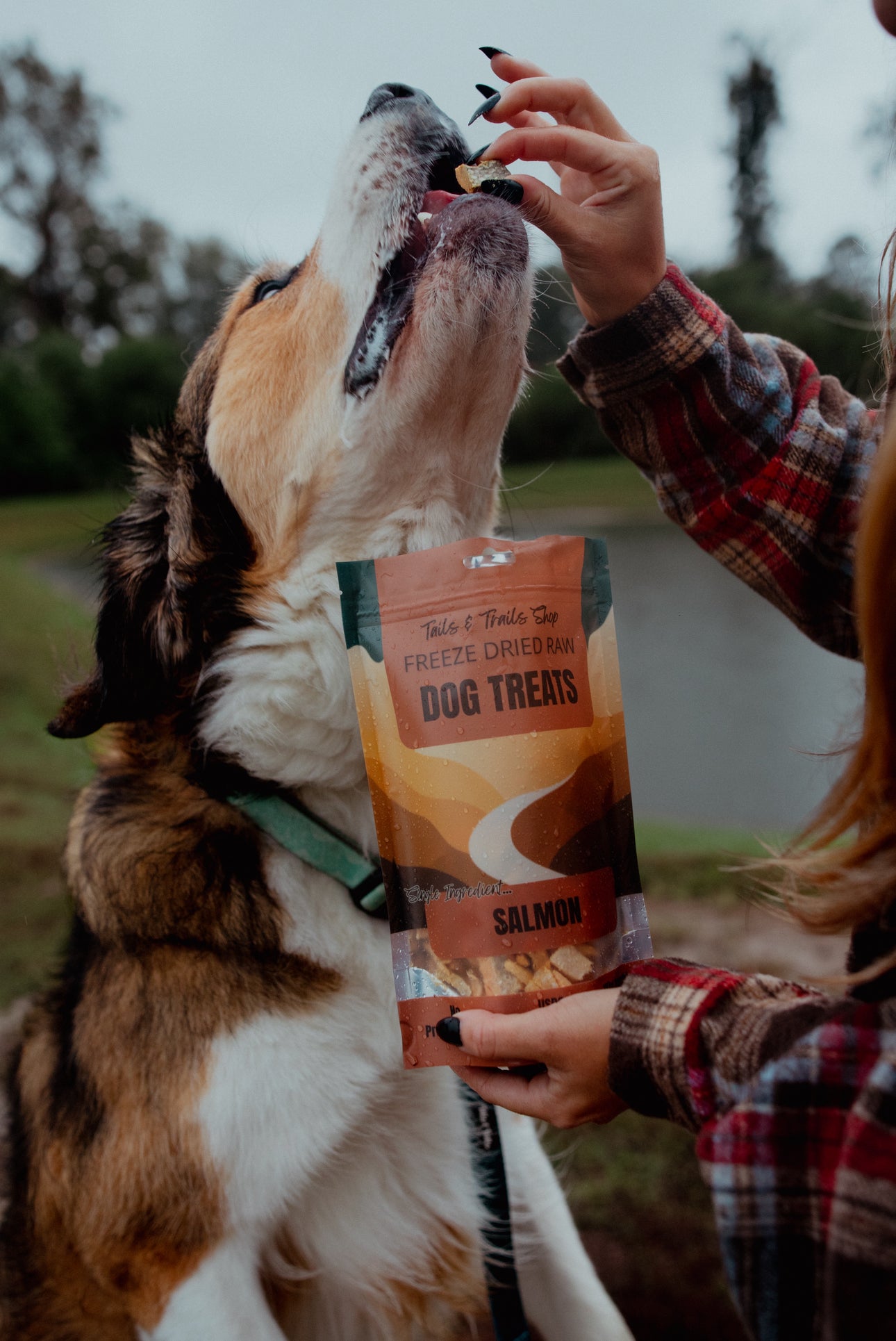 FREEZE DRIED SALMON TREATS