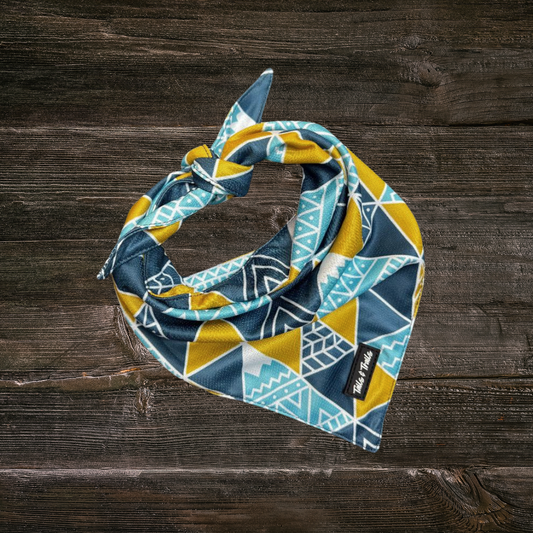 Appalachian Cooling Bandana