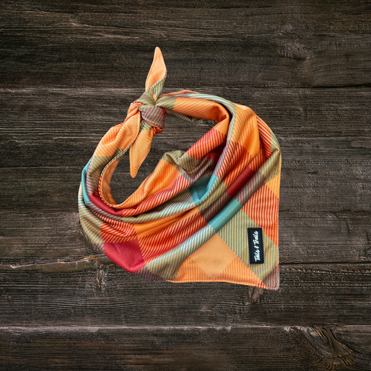 Fall Flannel Bandana
