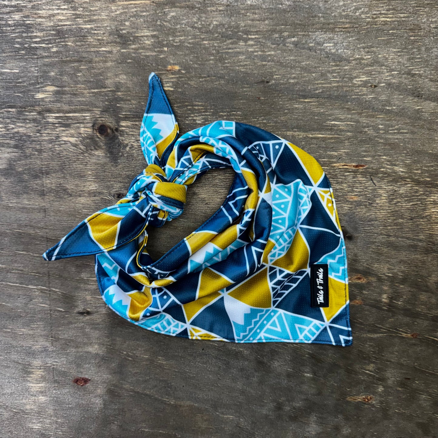 Appalachian Bandana