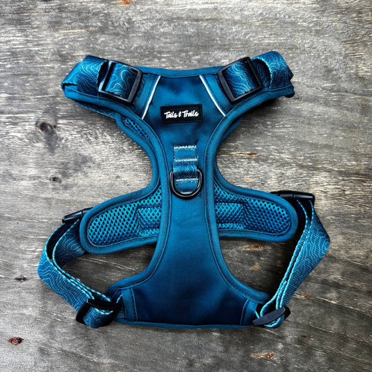 Evergreen Adventure Harness