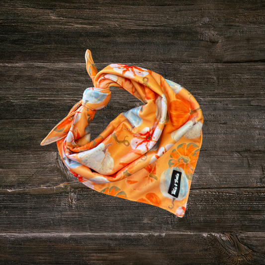 Pumpkin Patch Bandana
