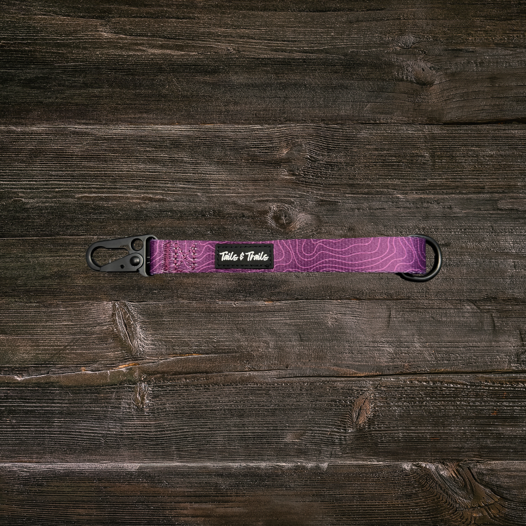 Elderberry Traffic Handle
