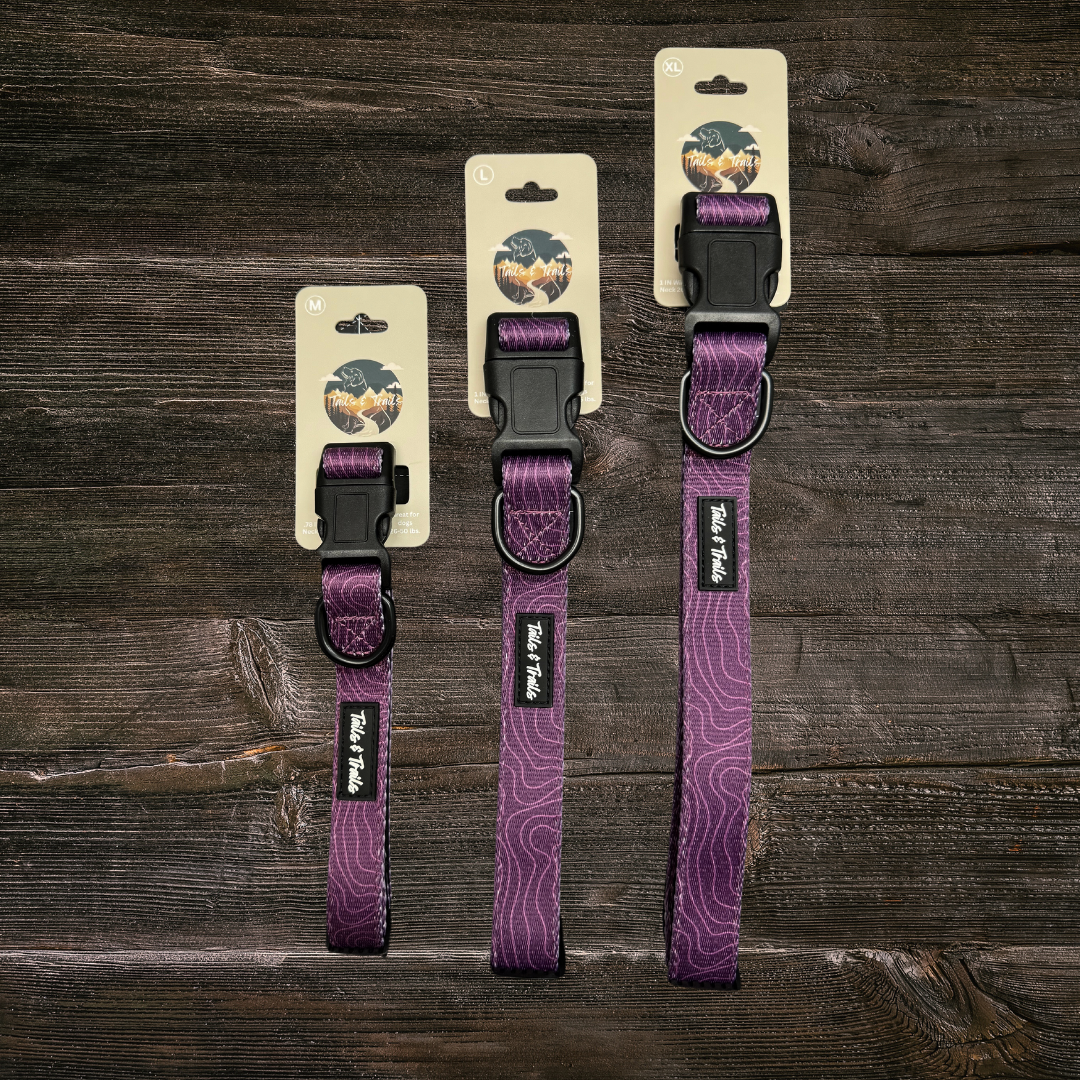Elderberry Trail Collar