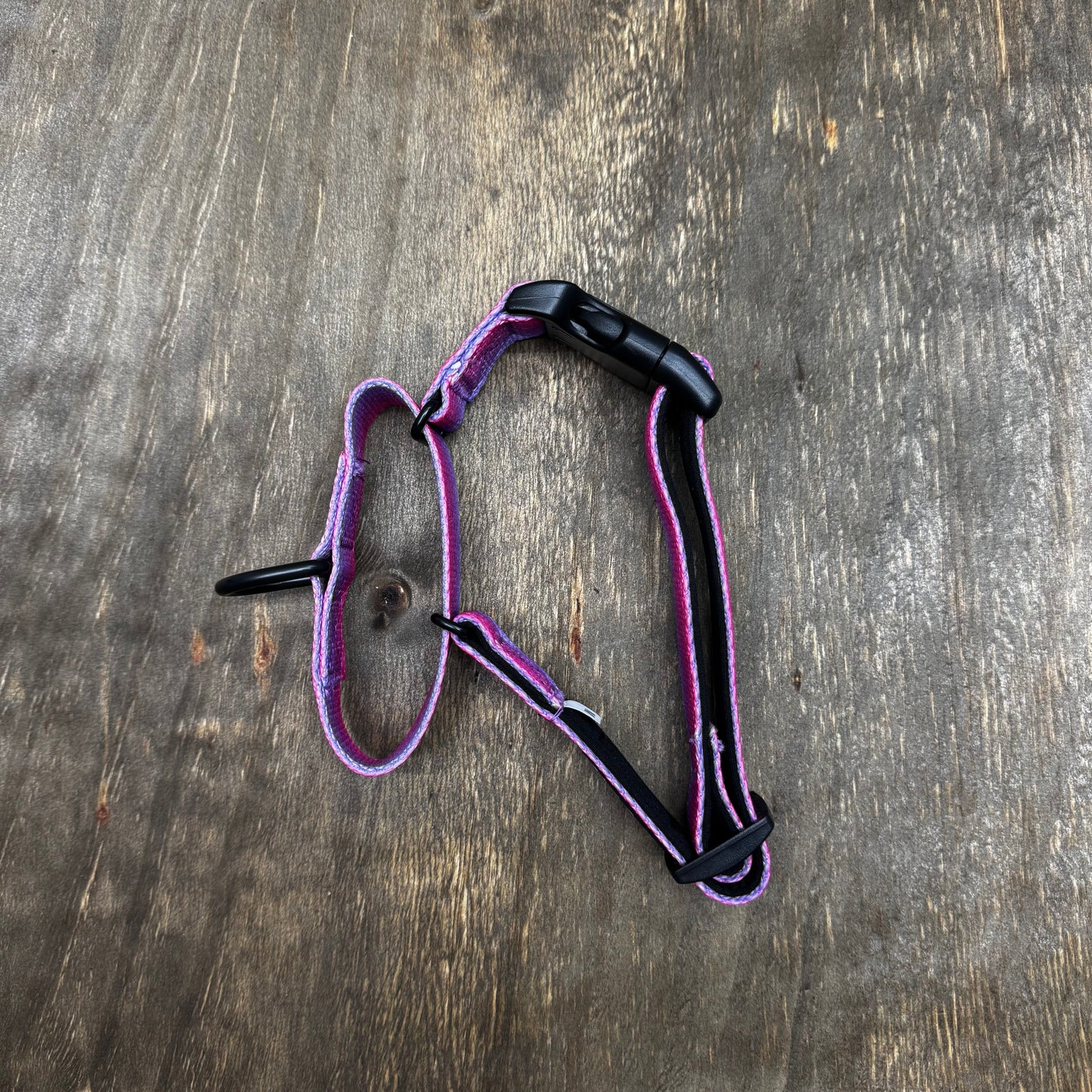 Martingale Sunrise Collar