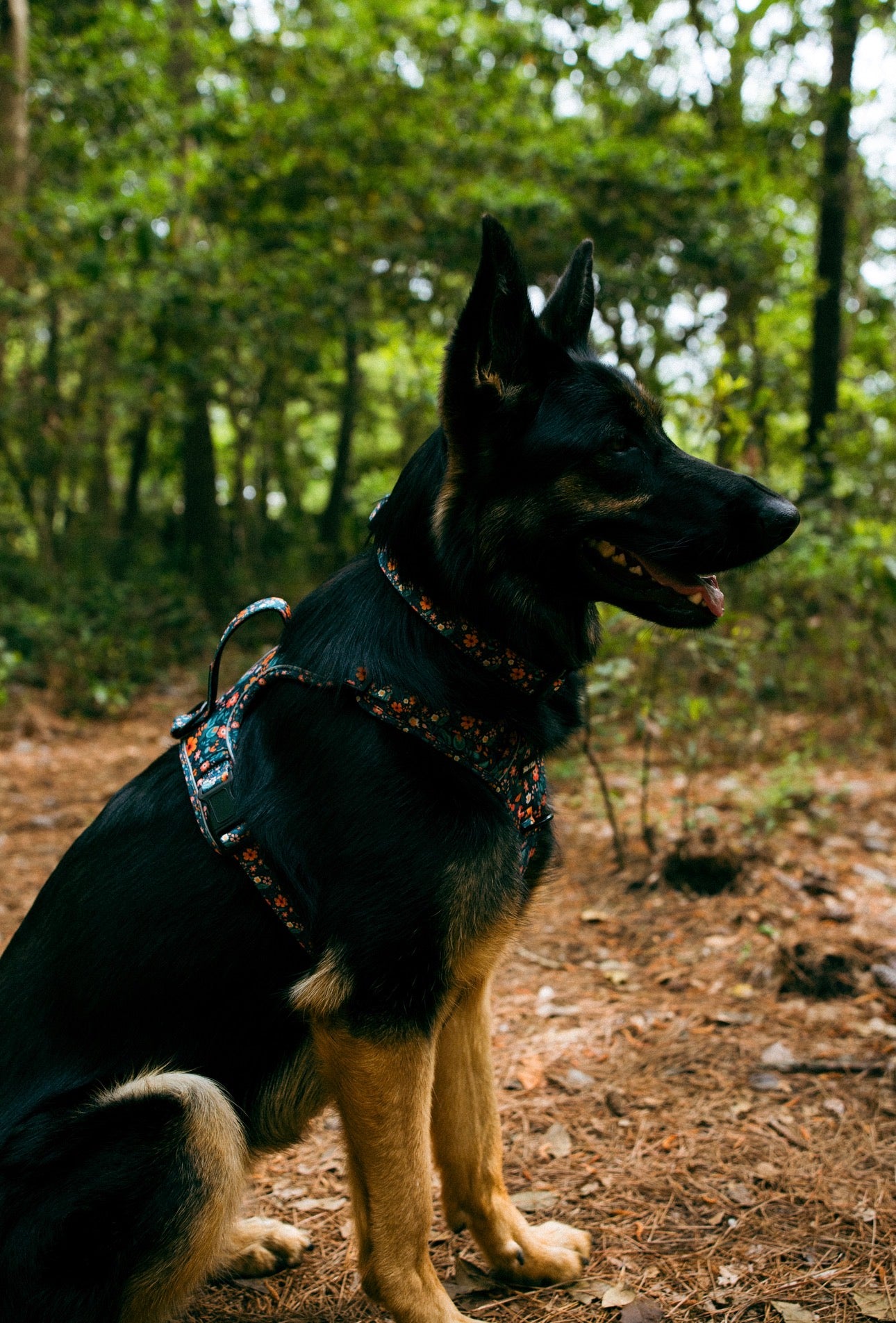 Floral Adventure Harness