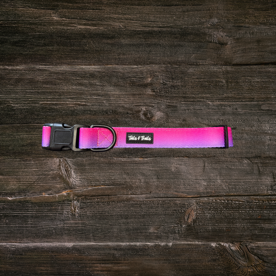 Sunrise Trail Collar