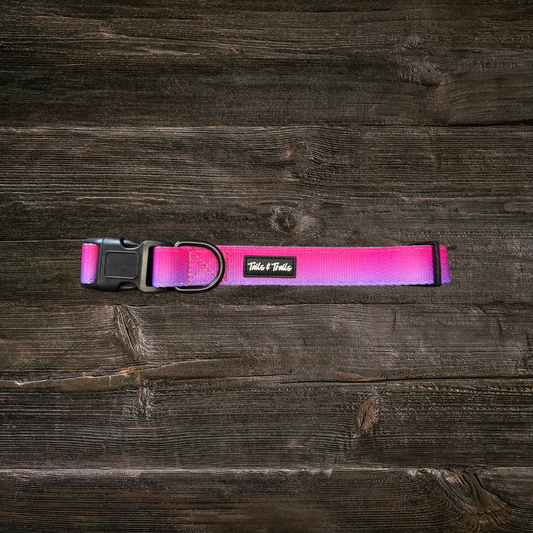 Sunrise Trail Collar