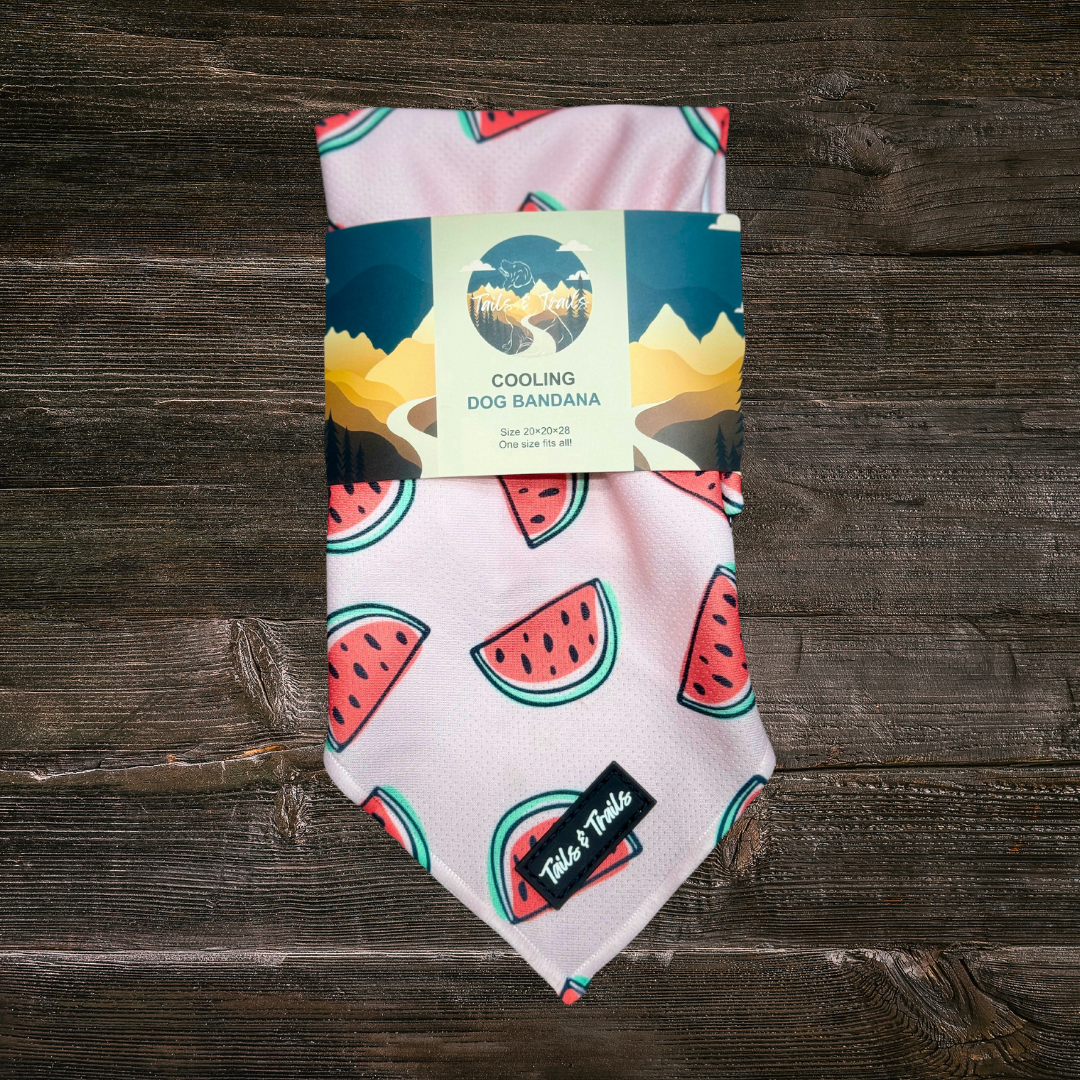 PRE-ORDER Melon Bandana