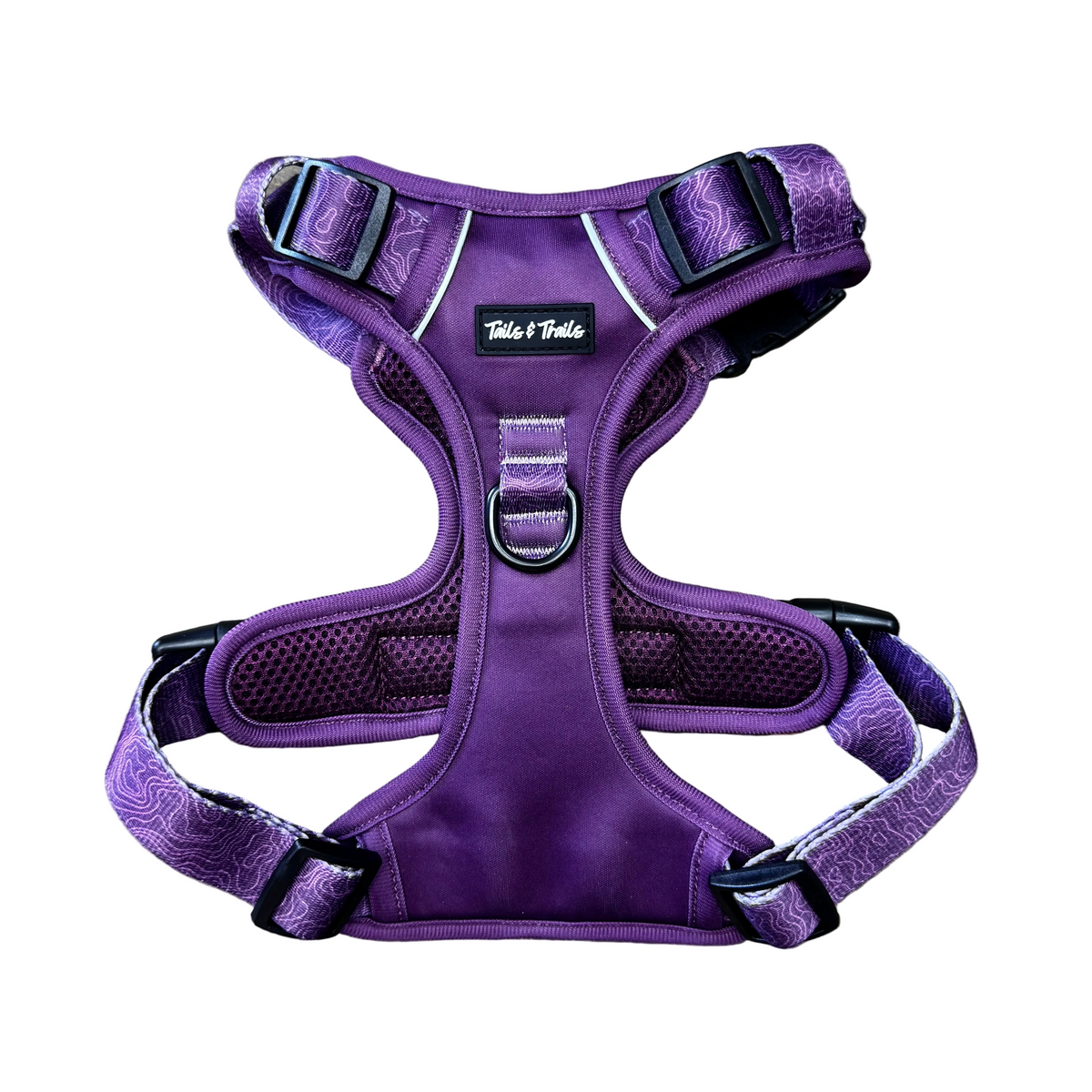 Elderberry Adventure Harness