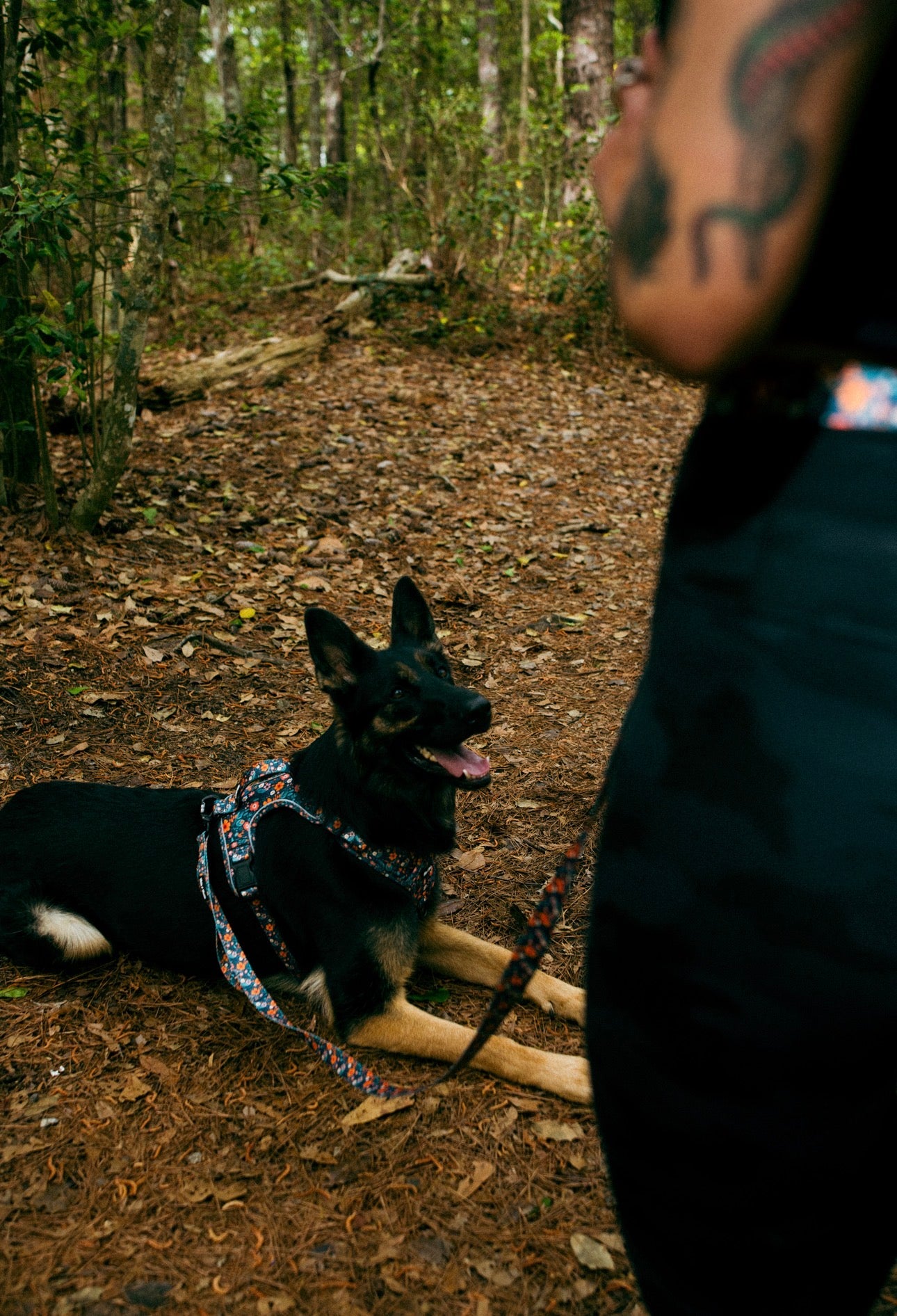 Floral Adventure Harness