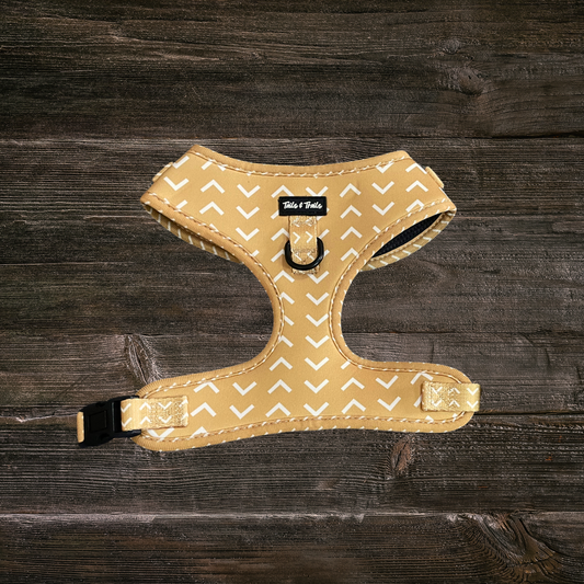 Arrowhead Trail Harness
