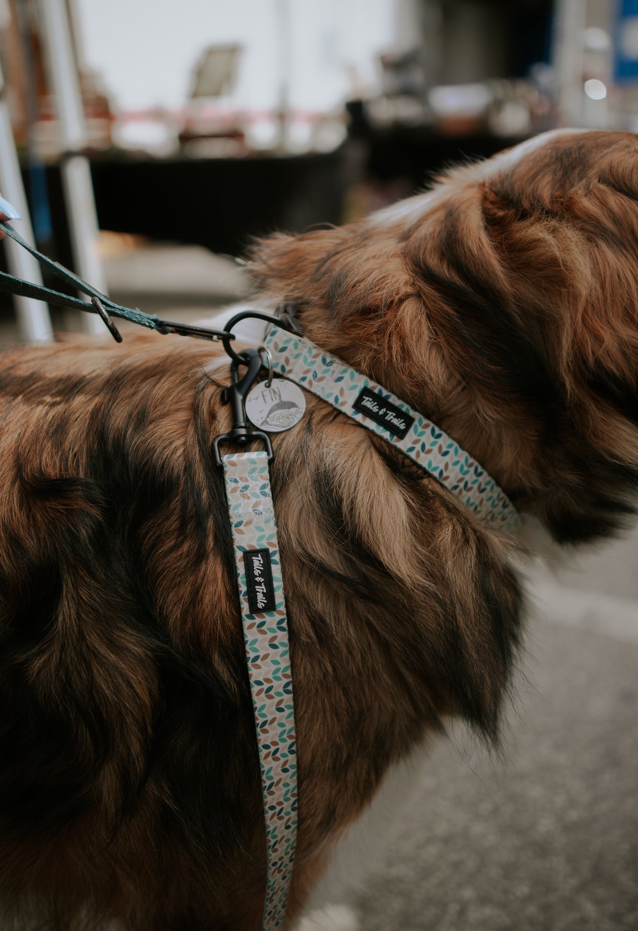 Blooming Trail Collar