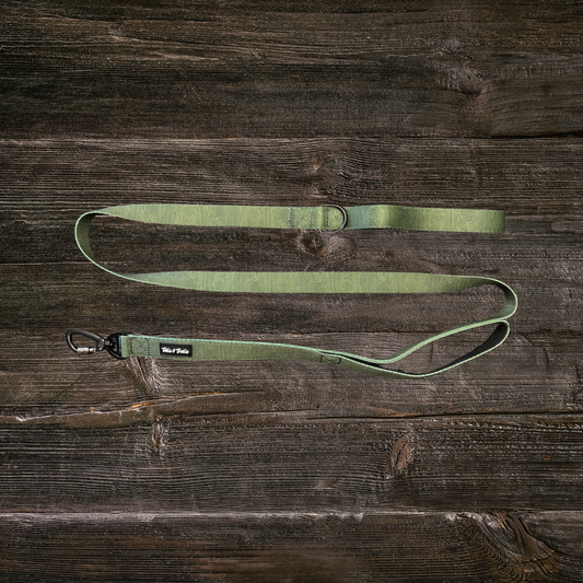 Double Handle Cedar Trail Leash