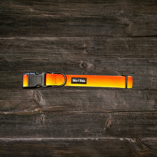 Sunset Trail Collar