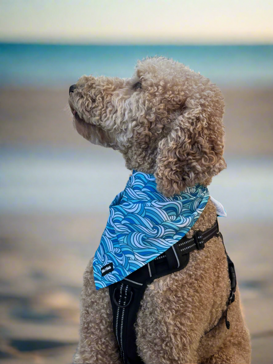Riptide Bandana