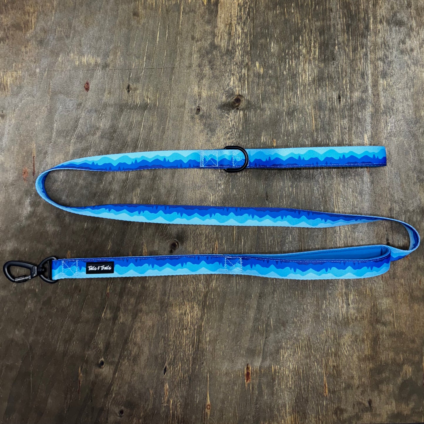 Double Handle Glacier Trail Leash