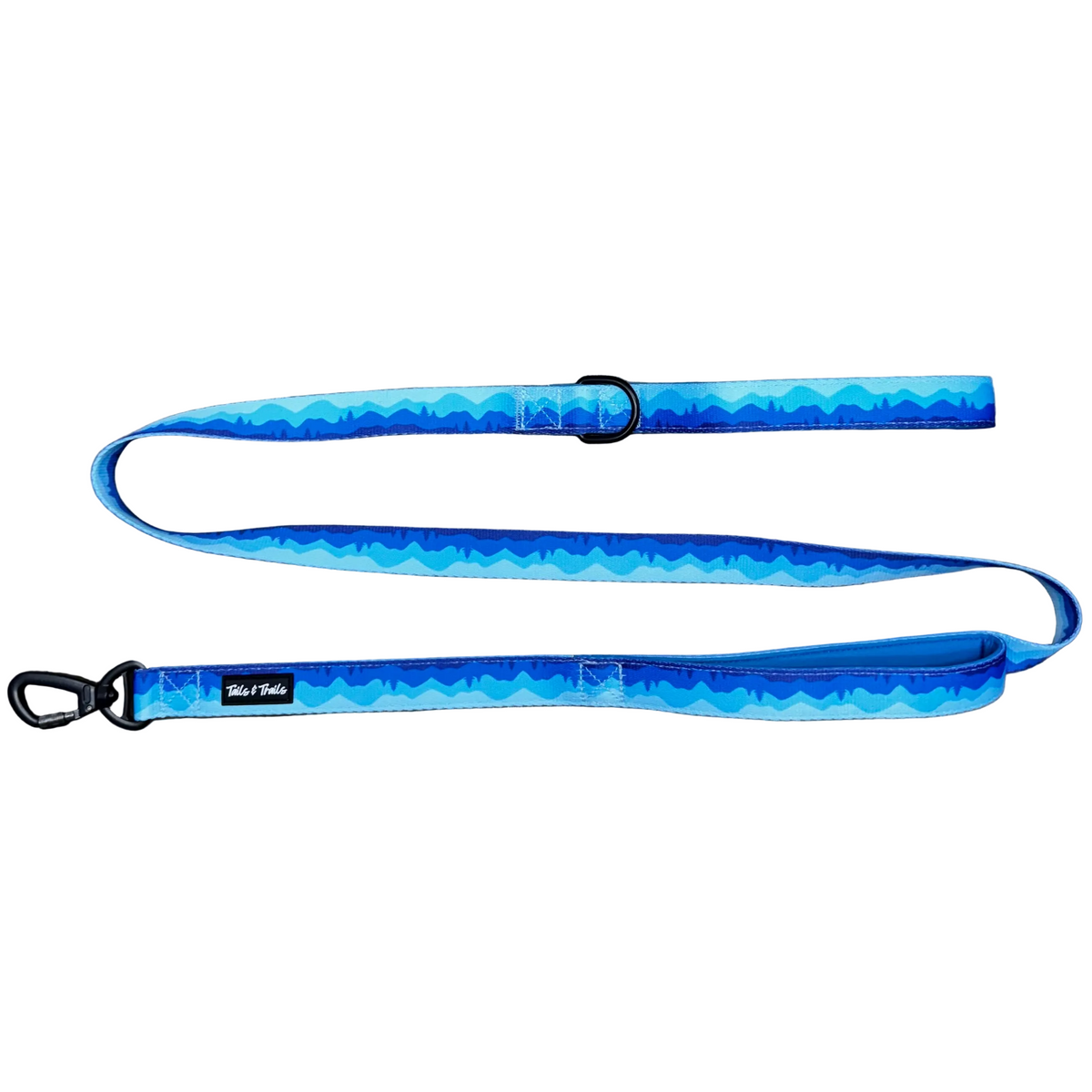 Double Handle Glacier Trail Leash