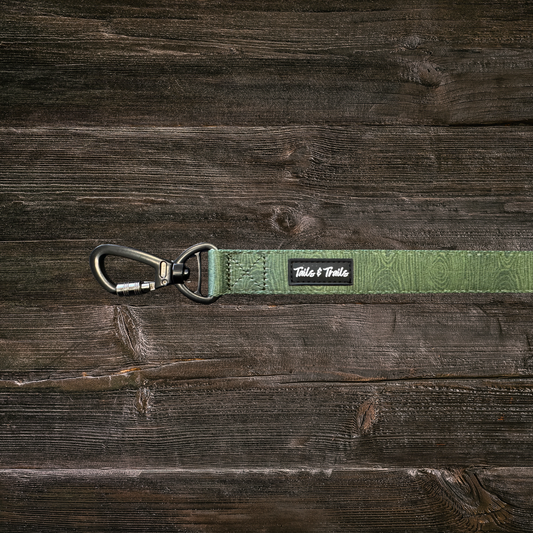 Double Handle Cedar Trail Leash