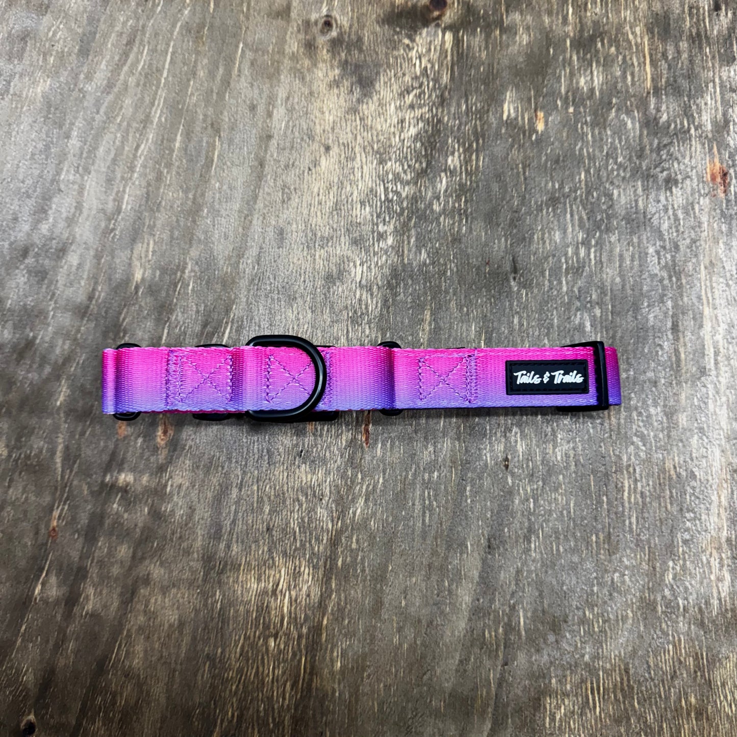 Martingale Sunrise Collar