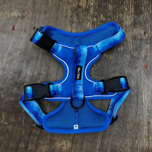 Glacier Adventure Harness