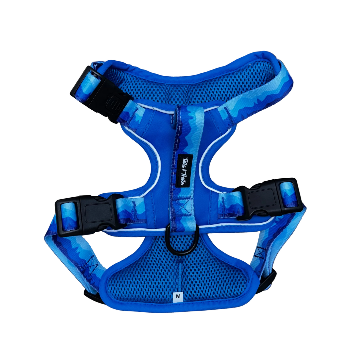Glacier Adventure Harness