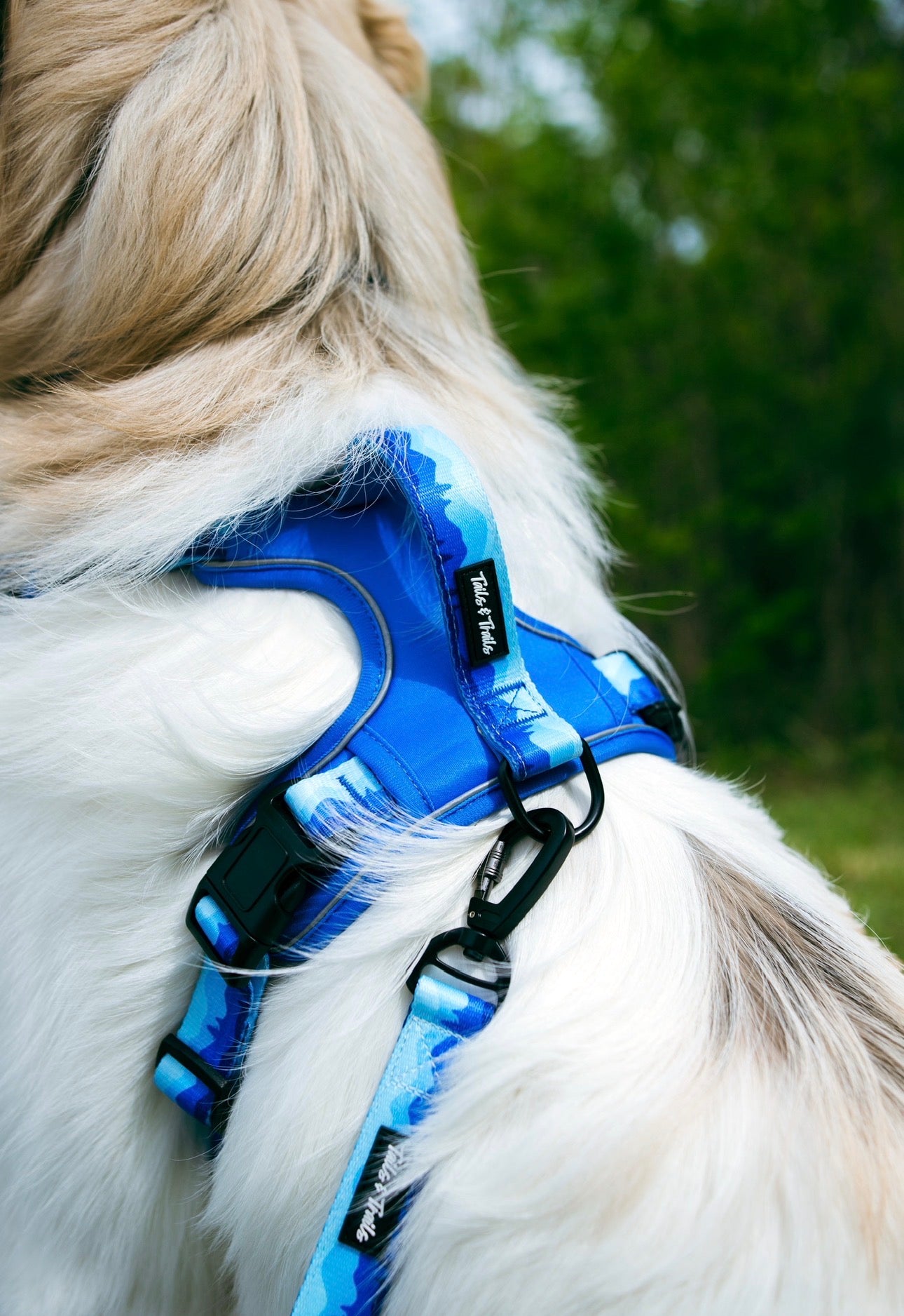 Glacier Adventure Harness