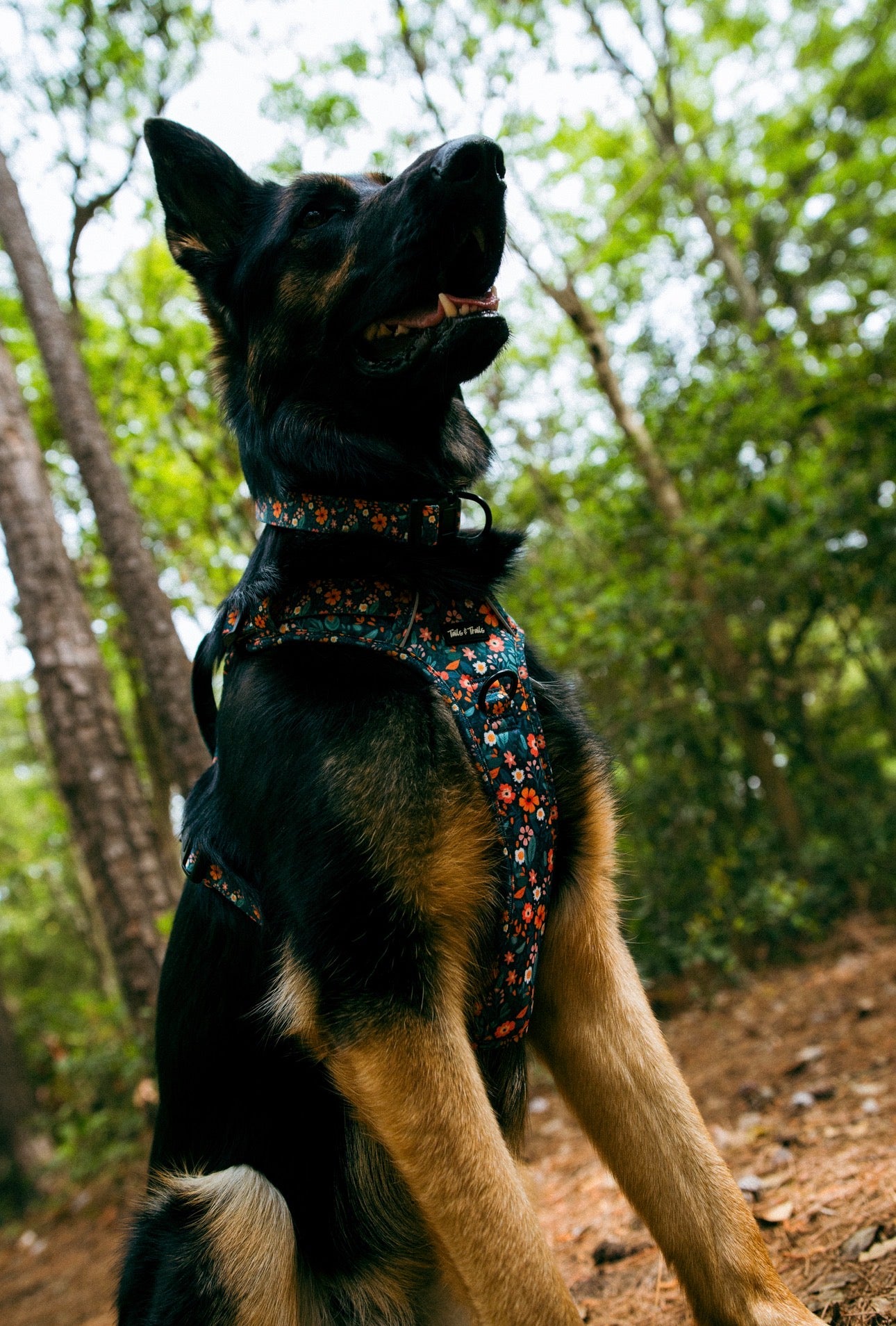 Floral Adventure Harness