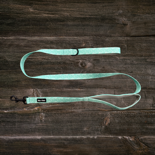 Double Handle Island Trail Leash
